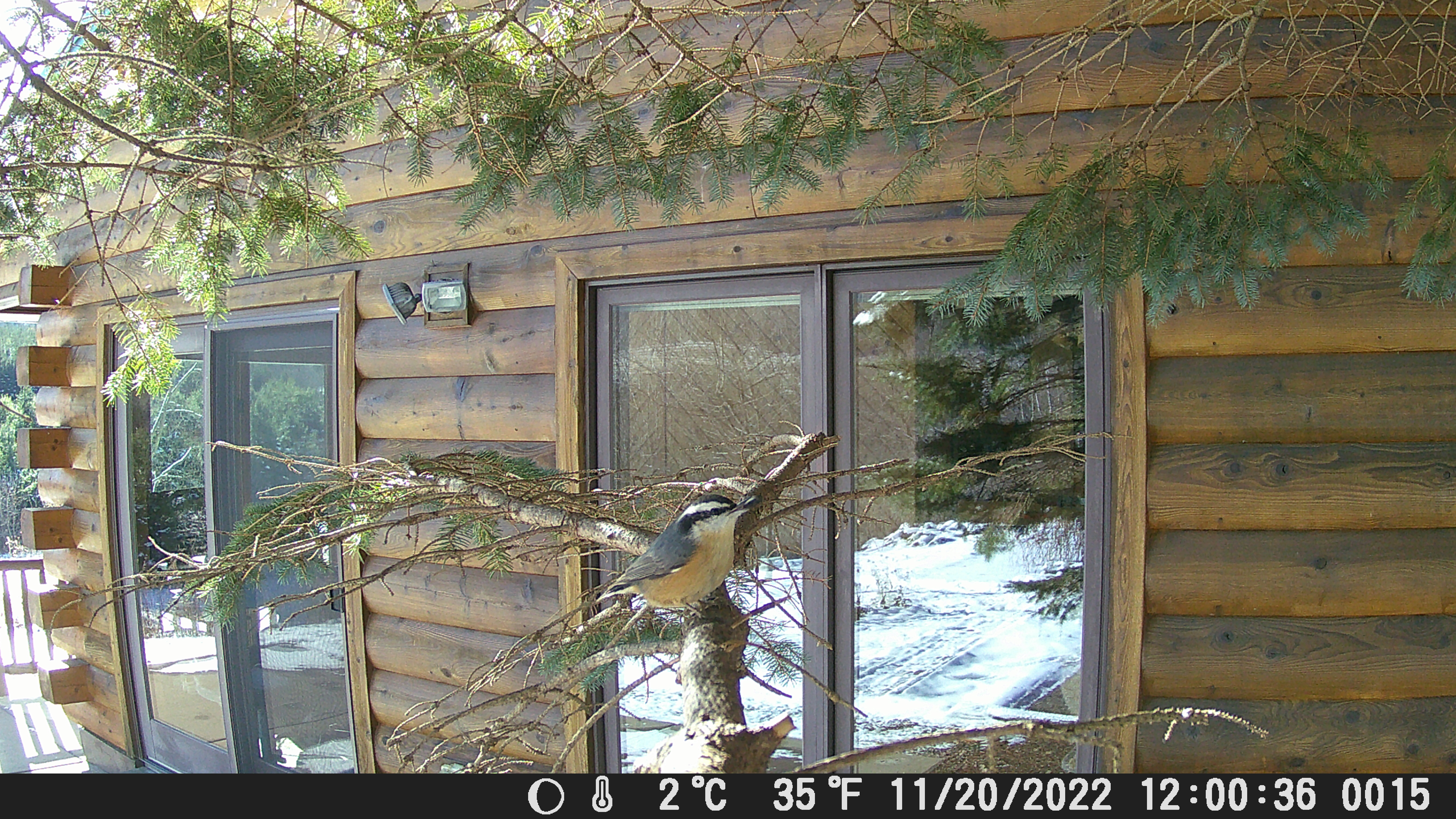 Driftless Thursday: “Little Red”