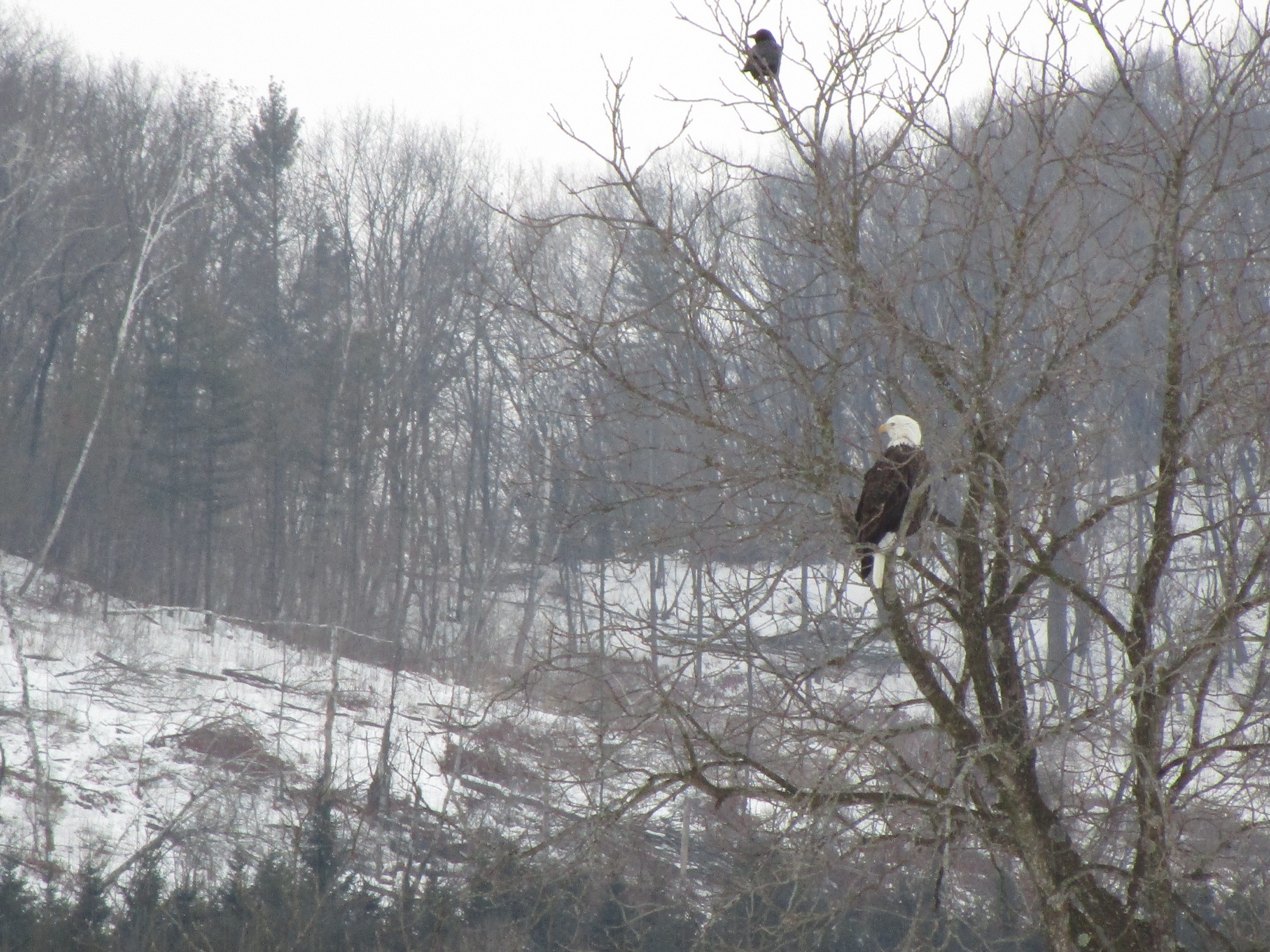 Updates: Writing and Marketing