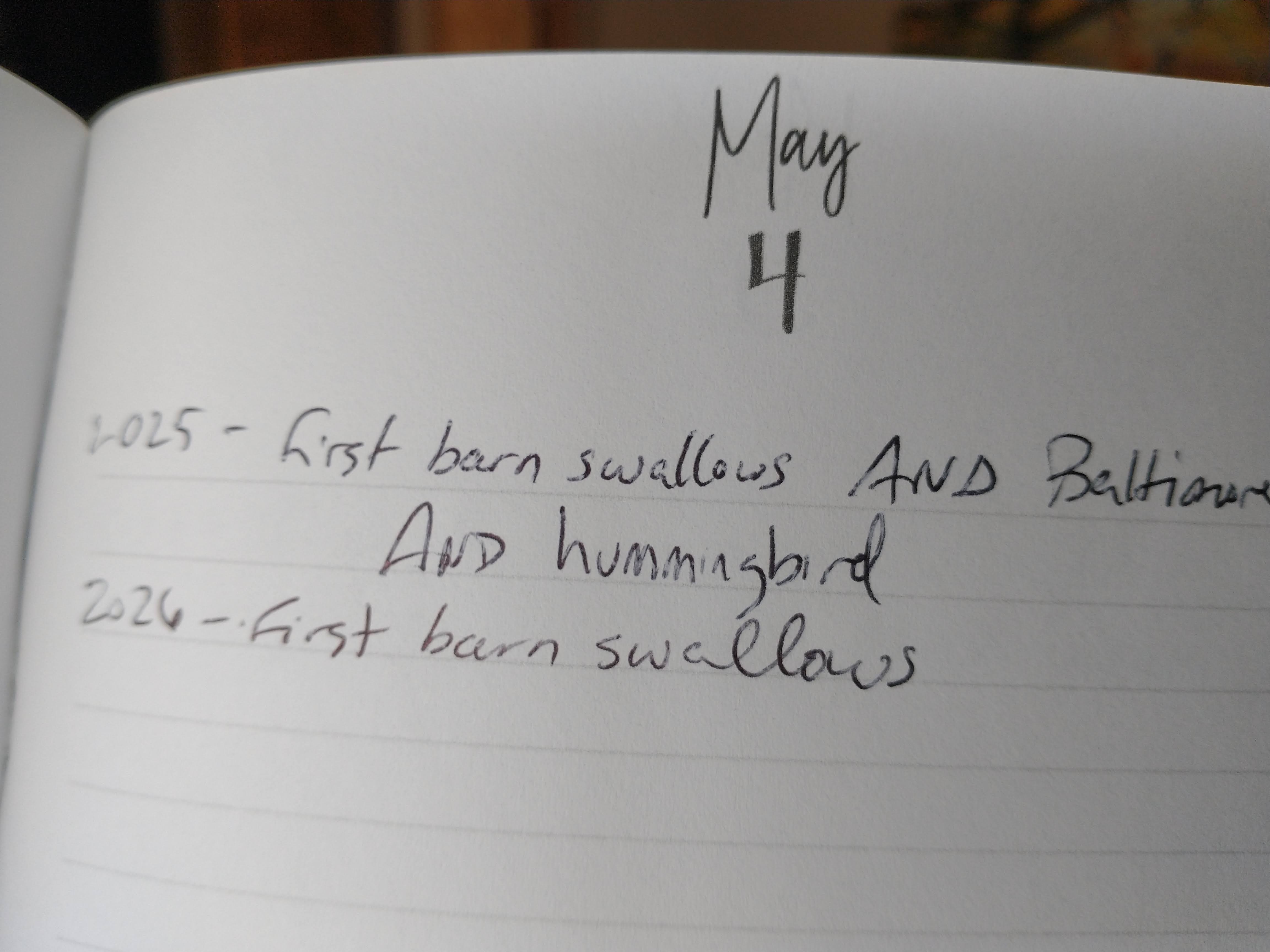 On Journaling, Part 1: 365 Journals