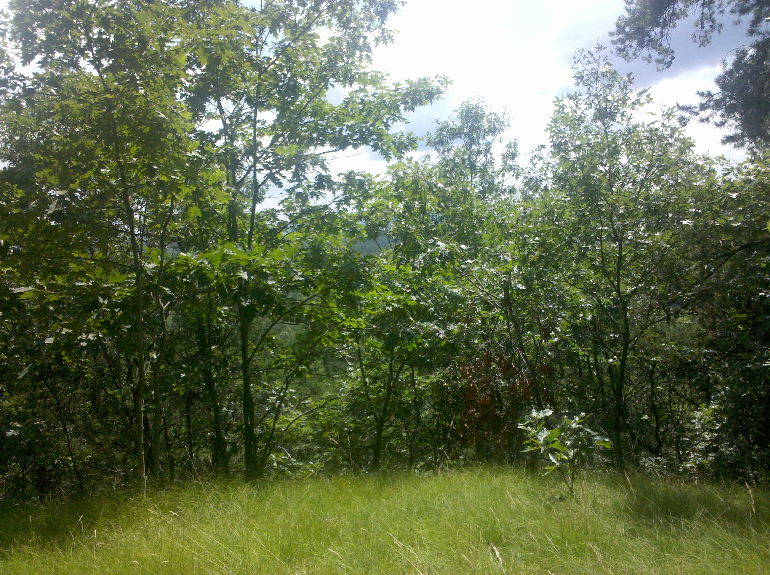 Driftless Thursday: A Primitive Camping Story